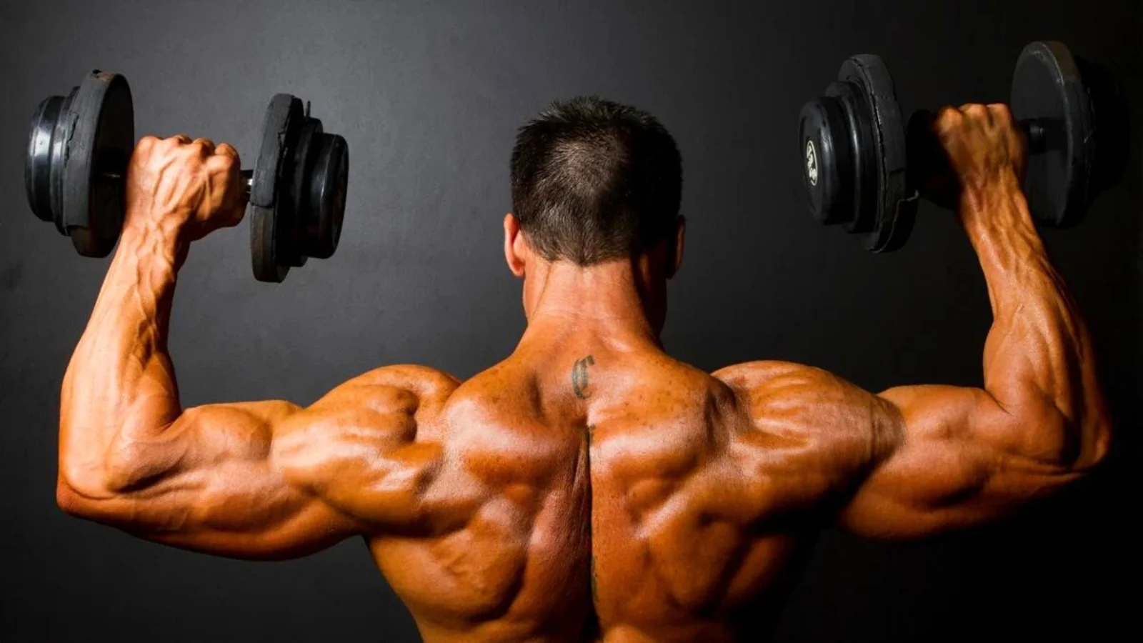 Best Shoulder Exercises to Build Lean Muscle