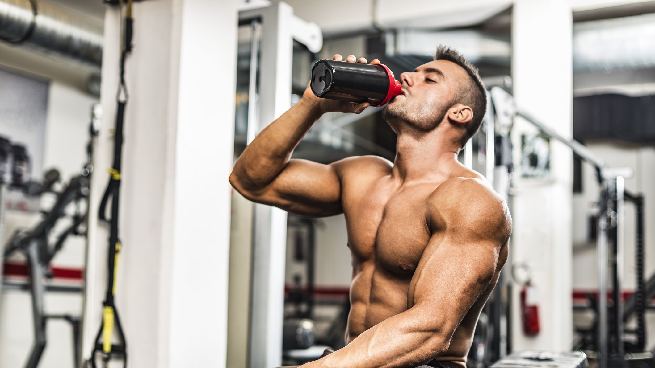 Best Sources of Protein to Build Muscle